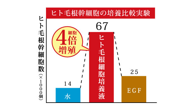 ベビセル アイラッシュセラム