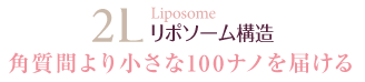 Liposome リポソーム構造