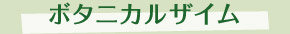 ܥ˥륶