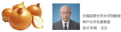 륻󡢥ޥͥ饨